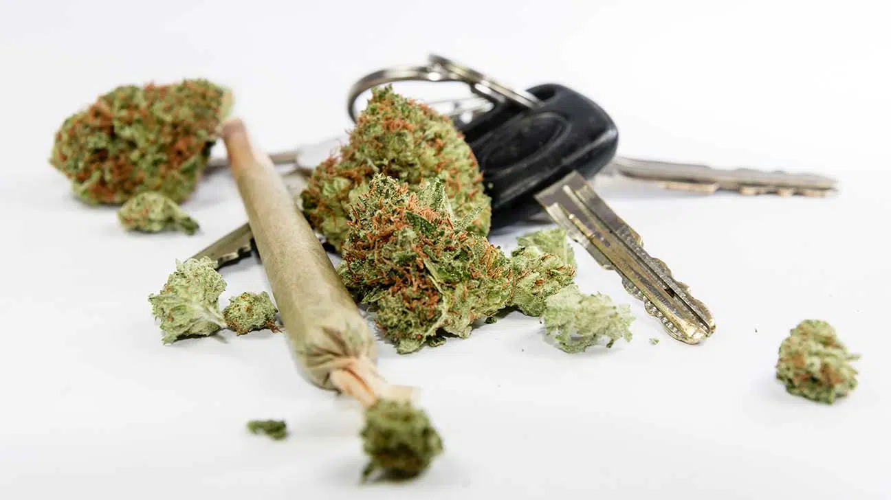 Has Marijuana Legalization Caused Rise In Marijuana-Related Traffic Fatalities?