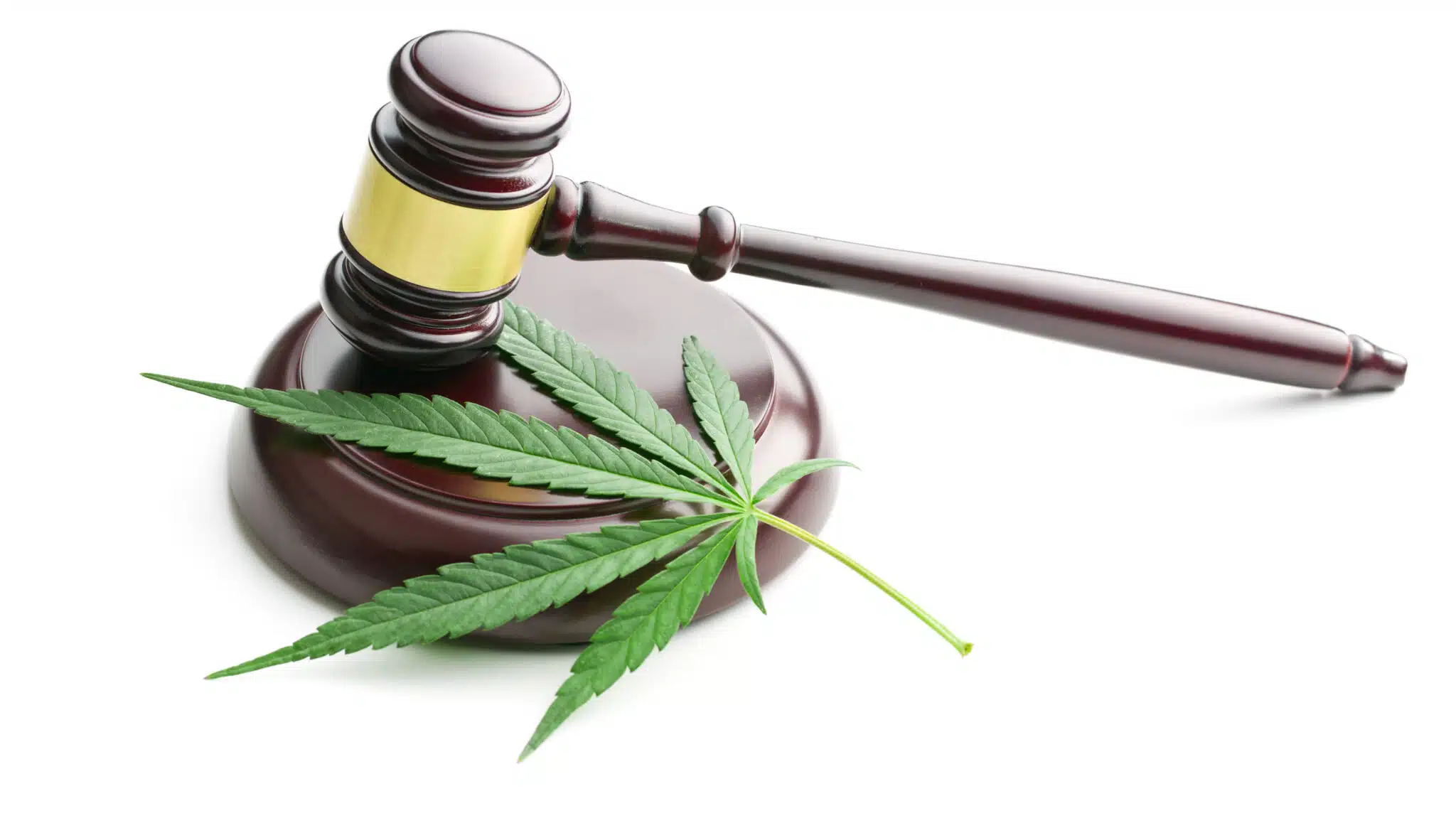 A judge's gavel and a marijuana leaf lay on a block - Cannabis Laws The Federal Government Vs. Massachusetts
